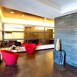 Hotel Sao Pedro - Arouca