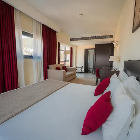 Hotel Sao Pedro - Arouca