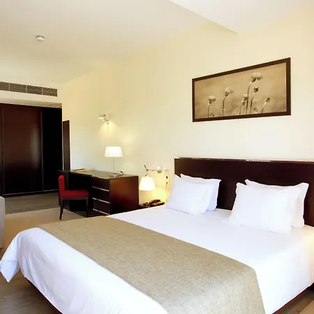 Otel Sao Pedro - Arouca