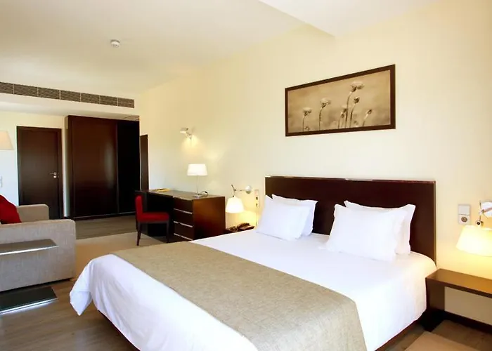 Hotel Sao Pedro Arouca