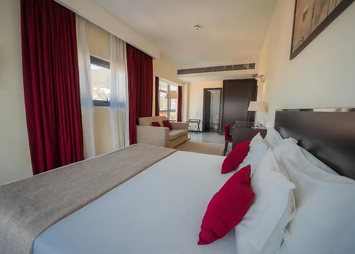 Hotel Sao Pedro - Arouca